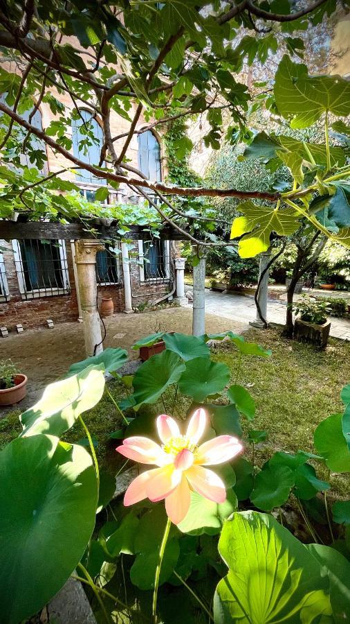 Michelangelo Bed and breakfast Venecia
